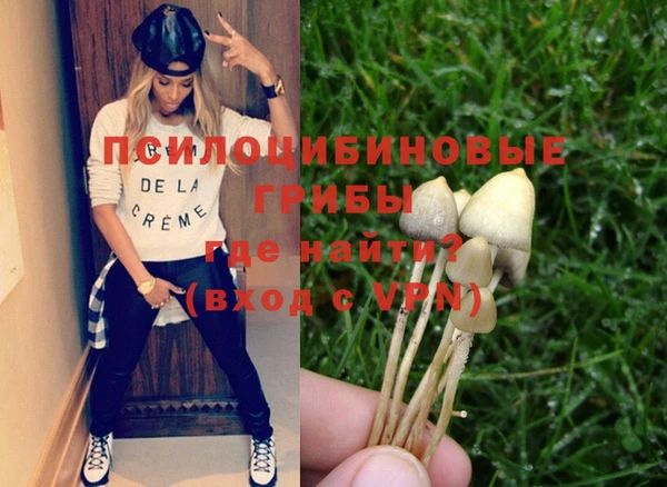 индика Гусиноозёрск