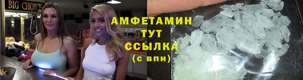 индика Гусиноозёрск