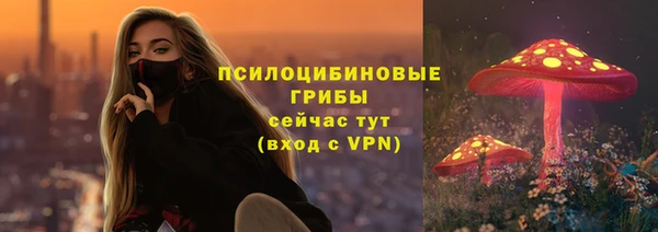 МДМА Гусев