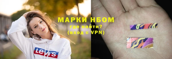 PSILOCYBIN Горно-Алтайск