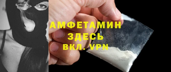 индика Гусиноозёрск