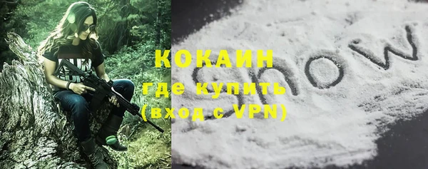 индика Гусиноозёрск