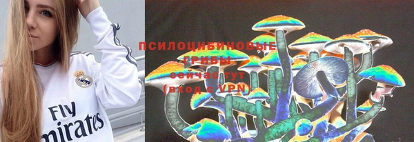МДМА Гусев