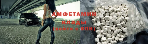 индика Гусиноозёрск