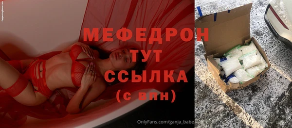 индика Гусиноозёрск