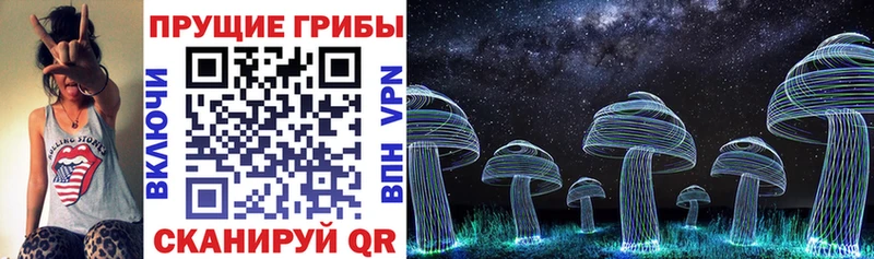 Галлюциногенные грибы Psilocybe  купить наркотик  Назрань 